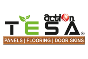 Tesa-from-Action
